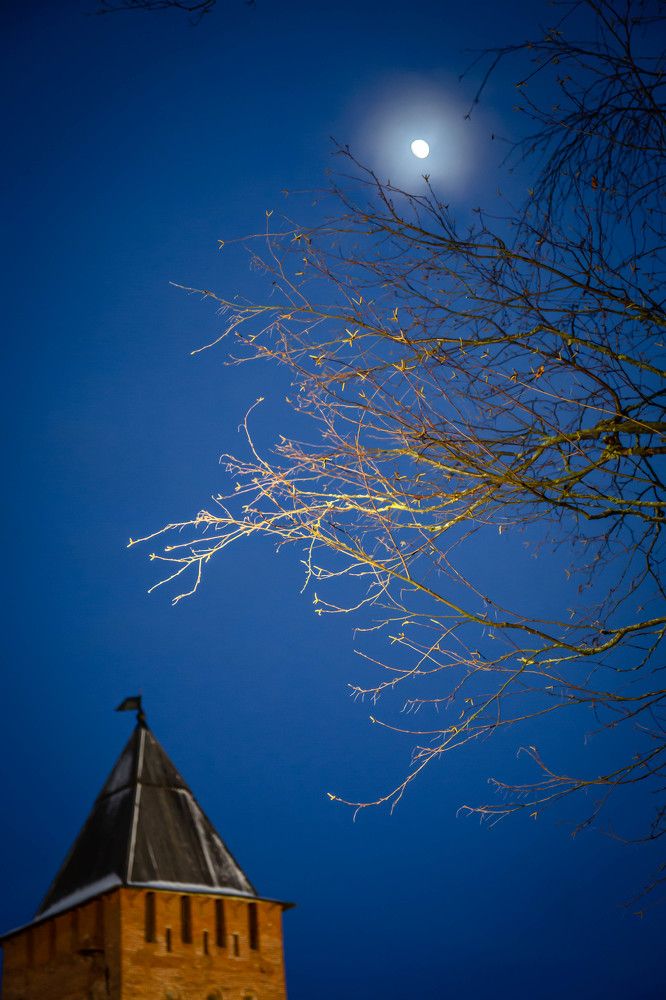 Photograph by Ольга Сафронова