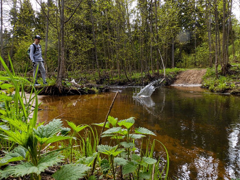 Photograph by Игорь Смирнов