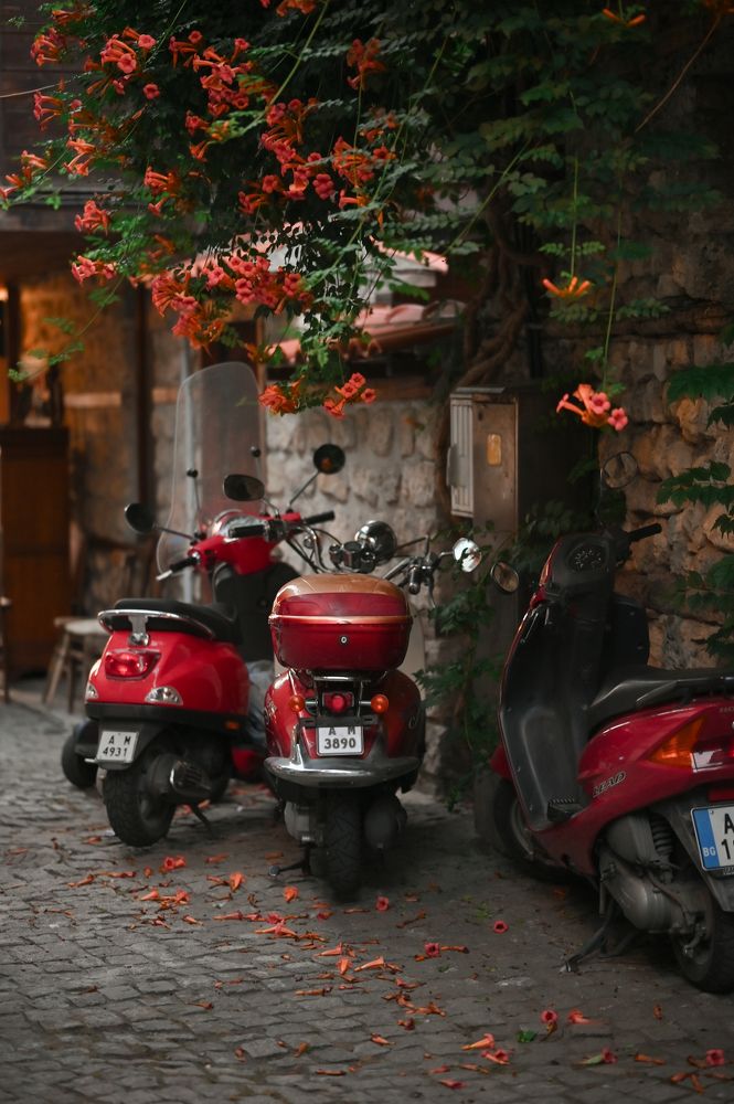 Photograph by Наталья Гришаева