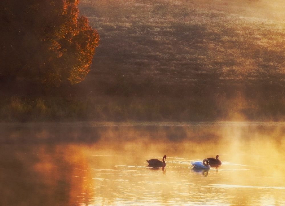 Photograph by Владимир