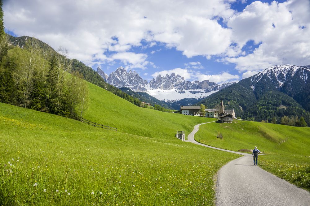 Photograph by Елена Никонова