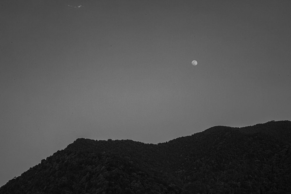 Фотография автора mahyar sj