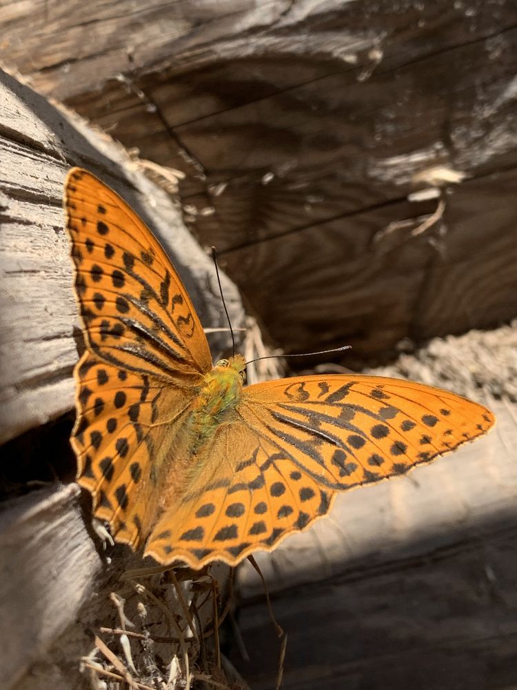 Photograph by Алексей и Юлия Дарьины