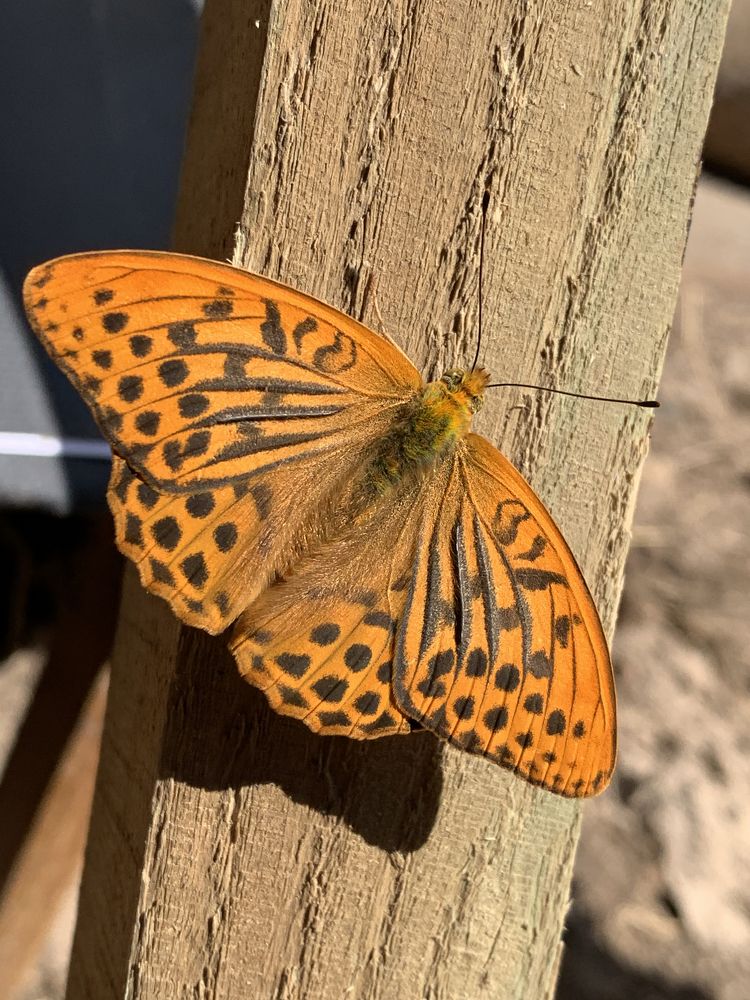 Photograph by Алексей и Юлия Дарьины