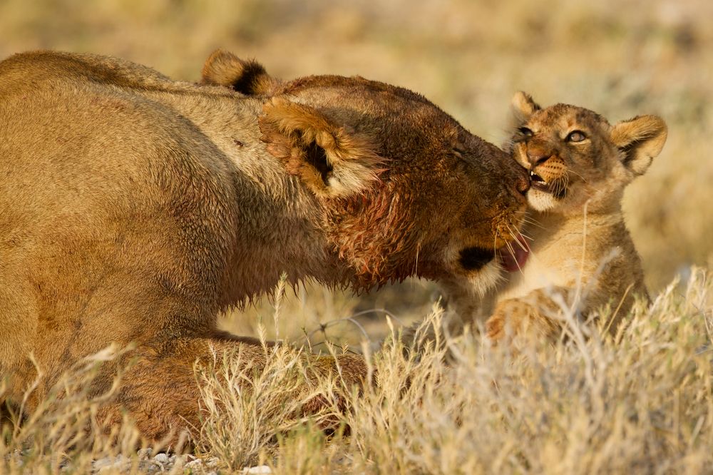 Photograph by Boris Konovalov