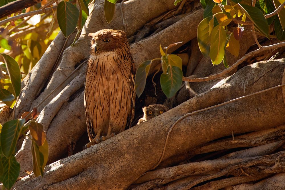 Фотография автора Boris Konovalov