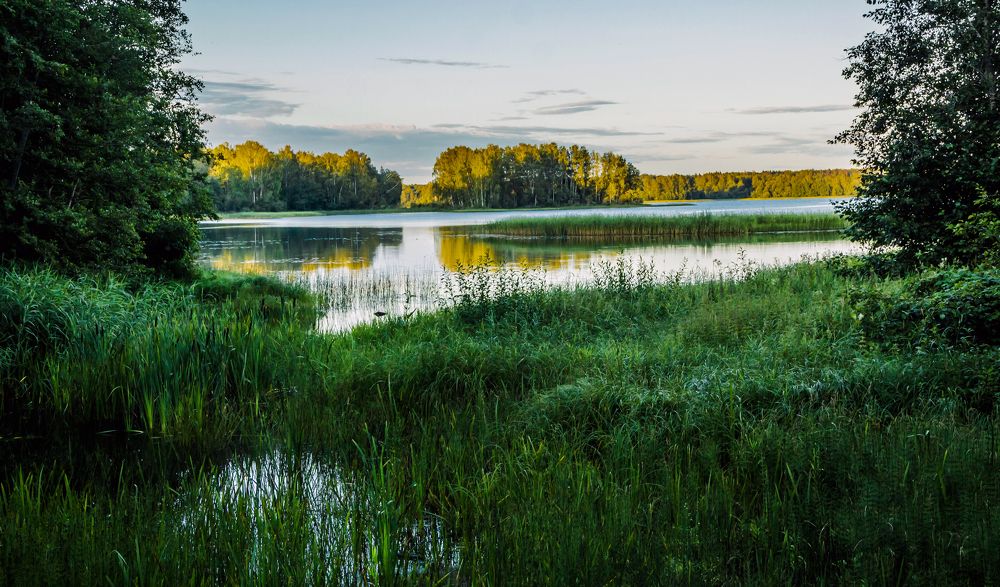 Photograph by Игорь Сидун