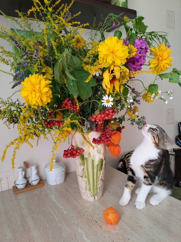 Photograph by Кристина Альшанская