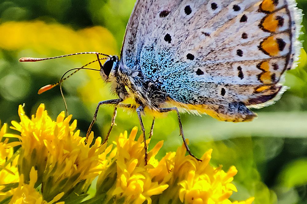Ярким утром