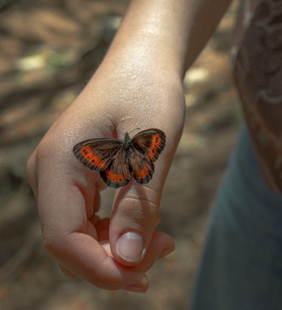 Photograph by Taтьяна Войлокова