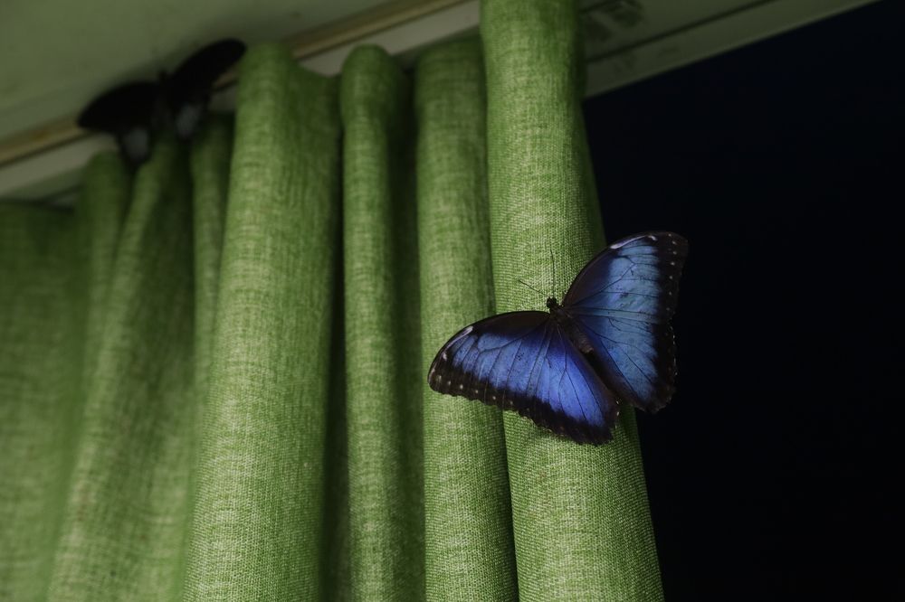 Photograph by Сагдиева Эльвира