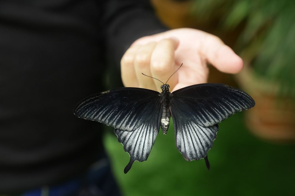 Photograph by Сагдиева Эльвира