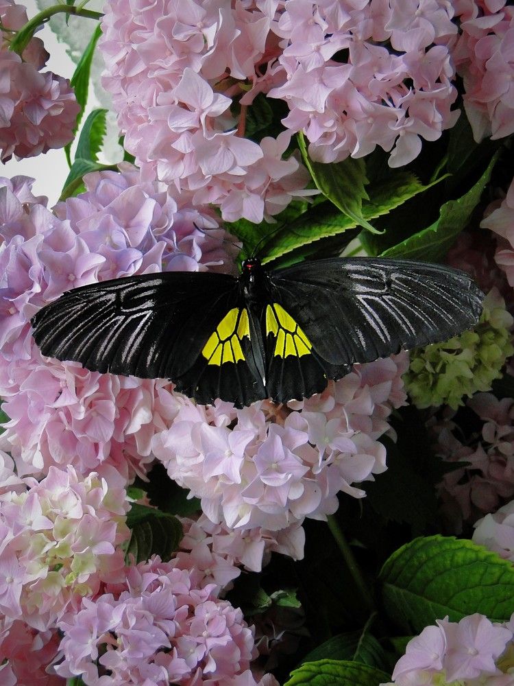 Photograph by Оксана Архипова