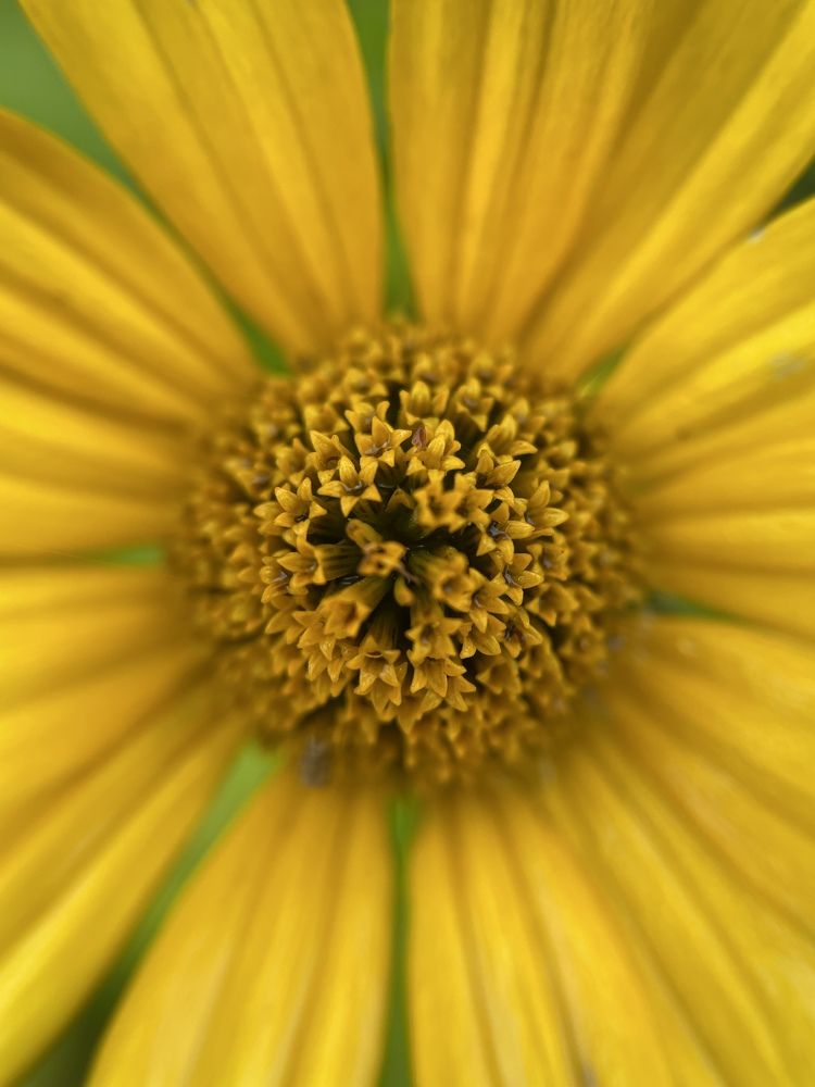 Photograph by Асель Бекбосынова