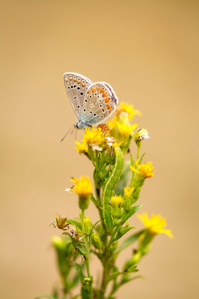 Photograph by Анастасия Петрова
