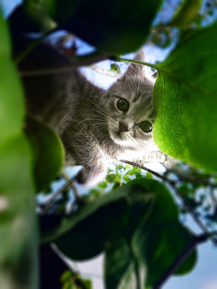 Photograph by Станислав Евсеев