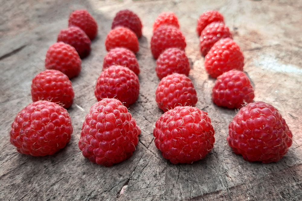 Фотография автора Кристина Догодька