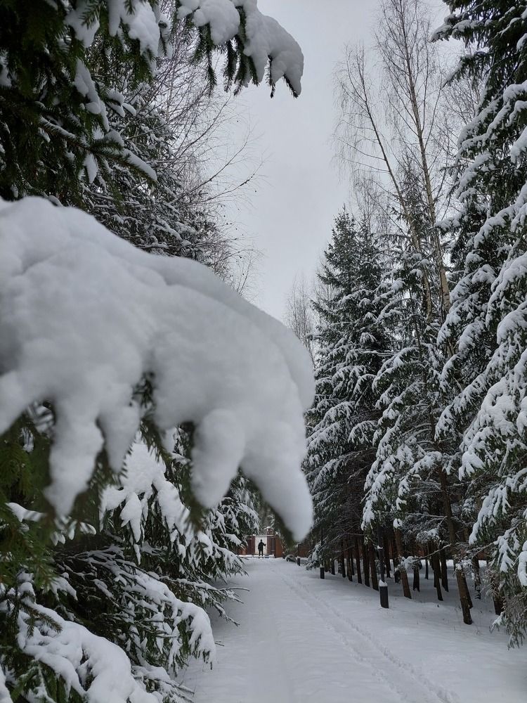 Photograph by Елена Тимченко