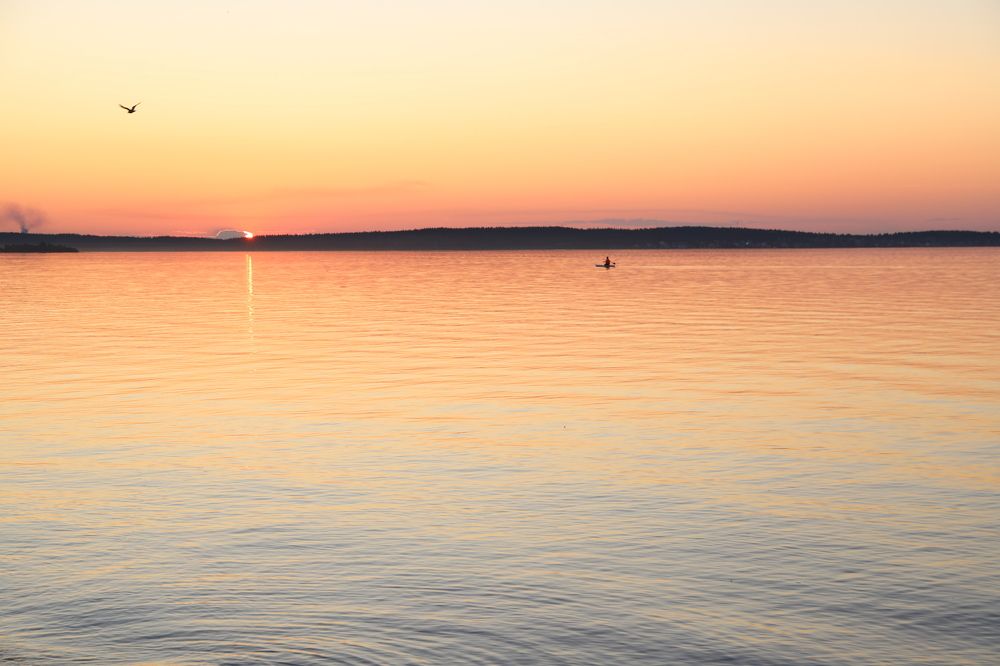 Photograph by Елена Тимченко