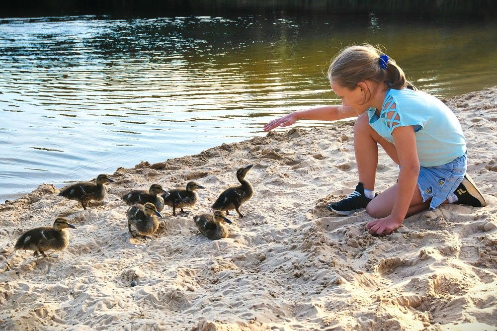 Photograph by Janis Serdienis