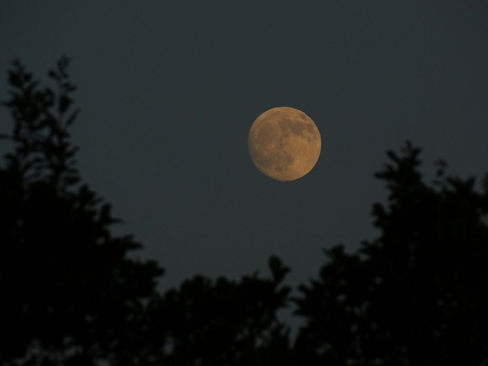 Photograph by Мария Широких