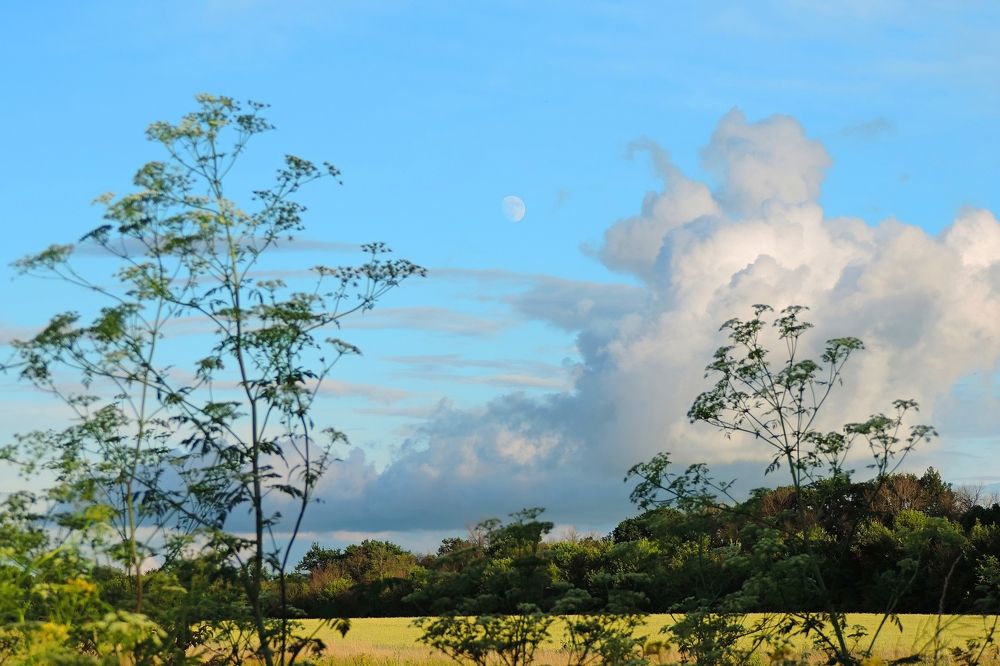 Photograph by Мария Широких