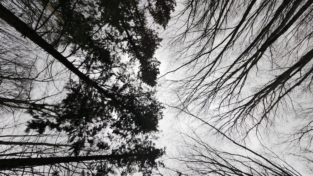 Фотография автора mahyar sj