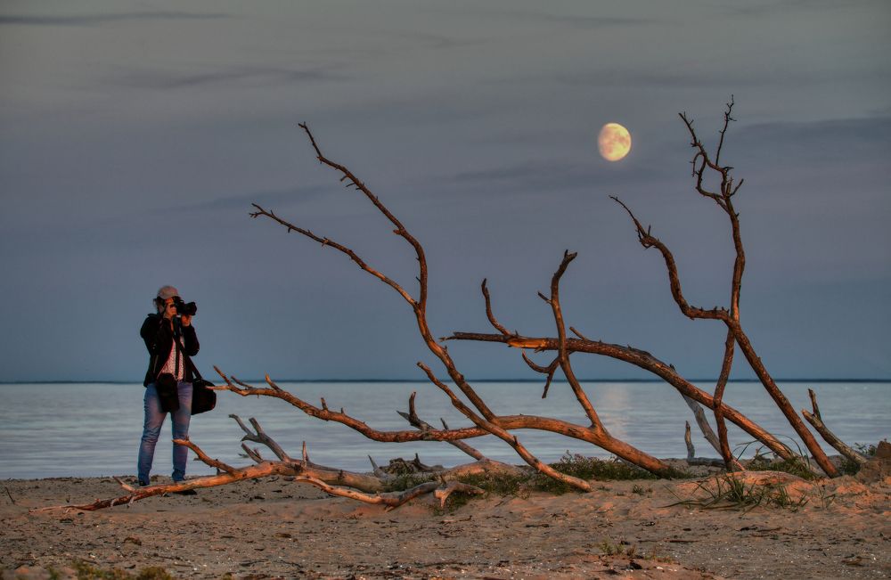 Photograph by Janis Serdienis