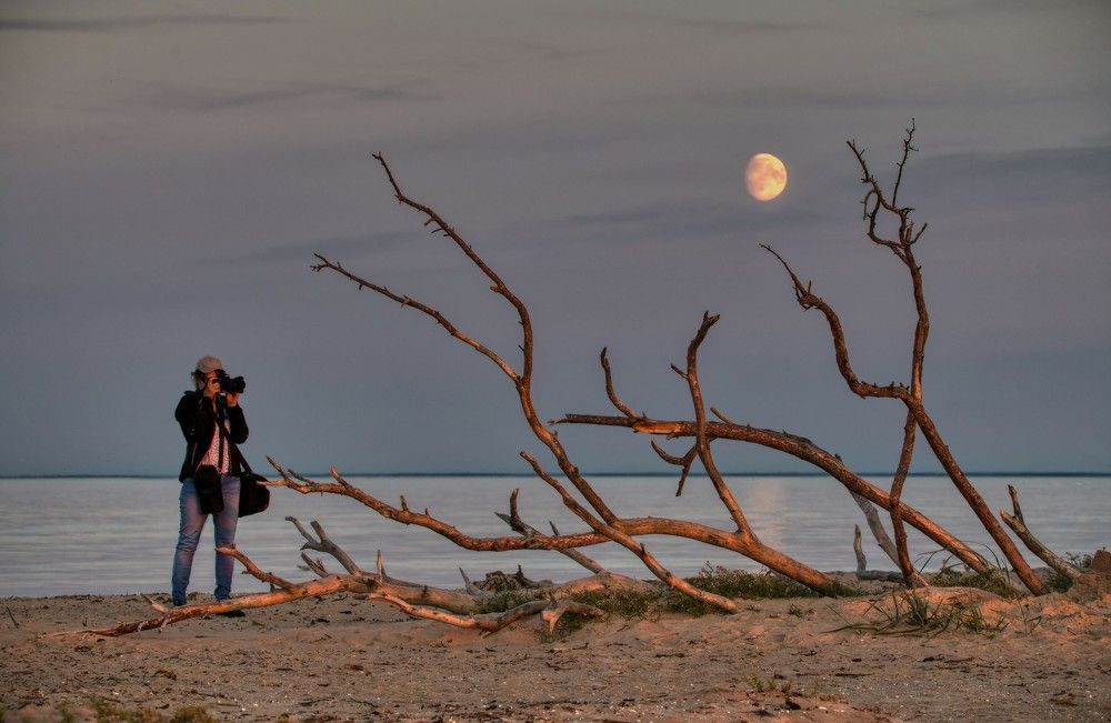 Photograph by Janis Serdienis