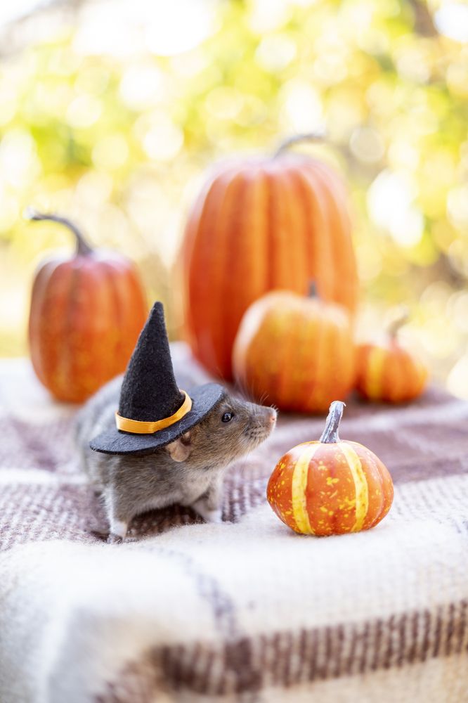 Photograph by Анна Гриневич