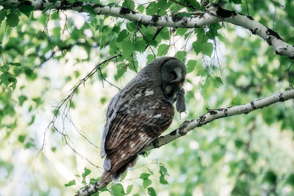 Photograph by Руслан Нигматуллин