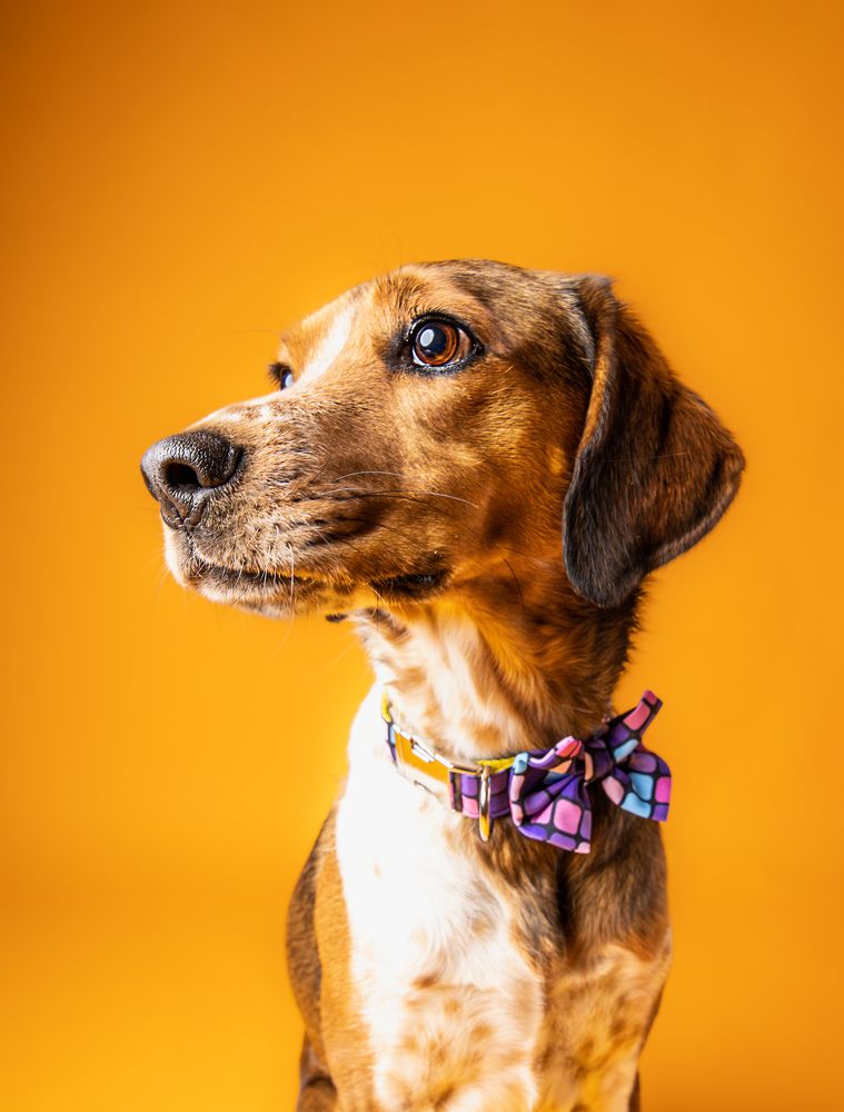 Photograph by Diego Weisser