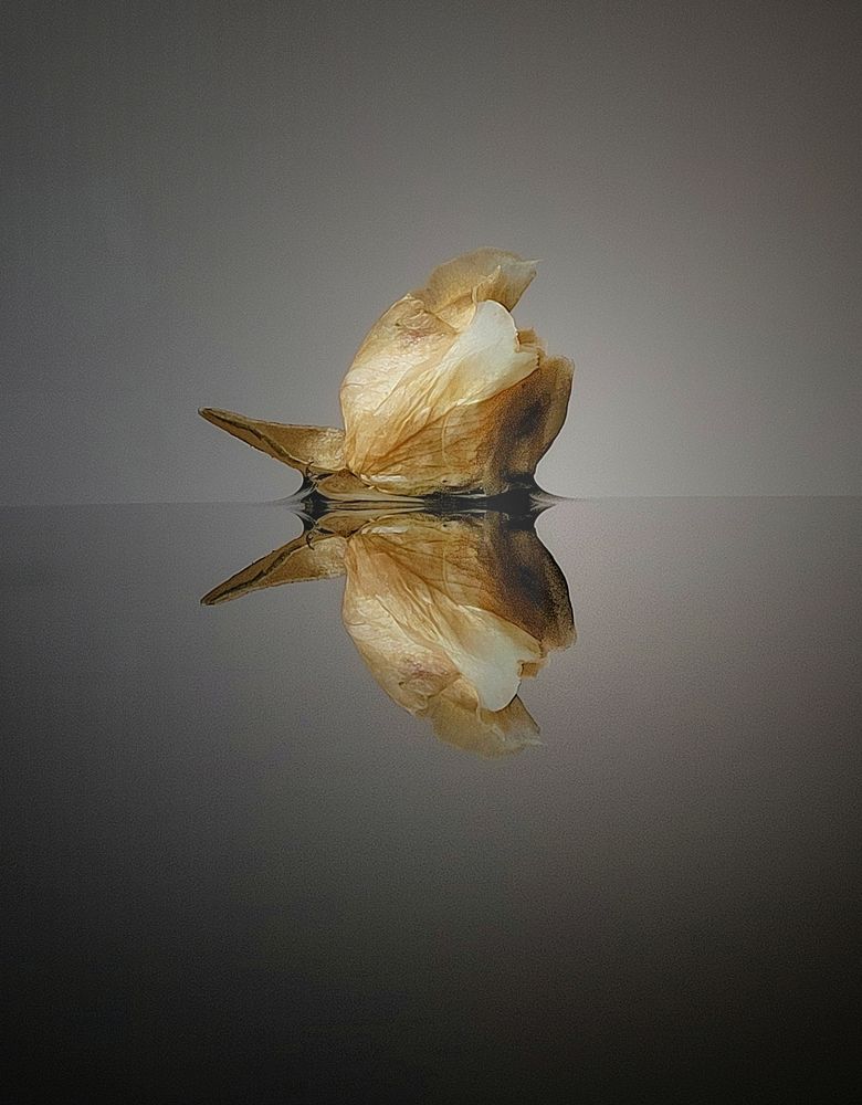 Photograph by Елена Иванова