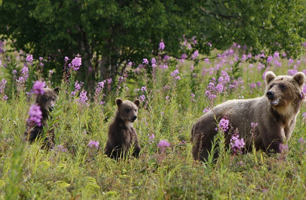 Photograph by Наталья Турчик