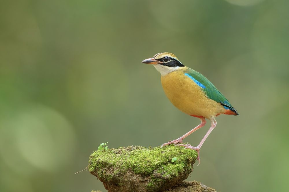 Photograph by siva athithya s