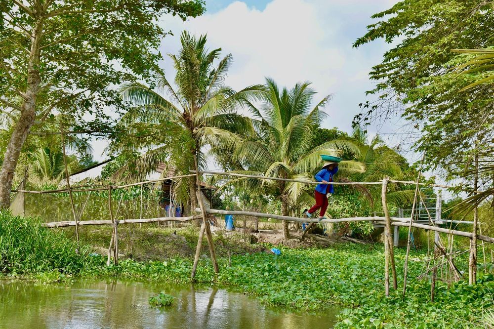 Photograph by HIEU LIEM DO