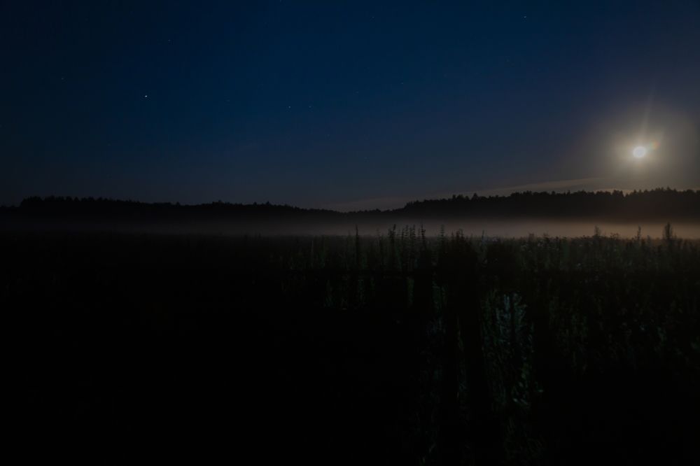 Фотография автора Вадим Лабитов