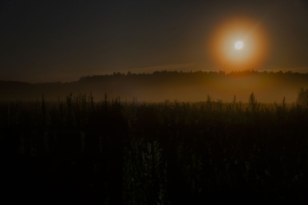 Фотография автора Вадим Лабитов