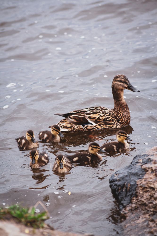 Photograph by Анастасия Астафьева