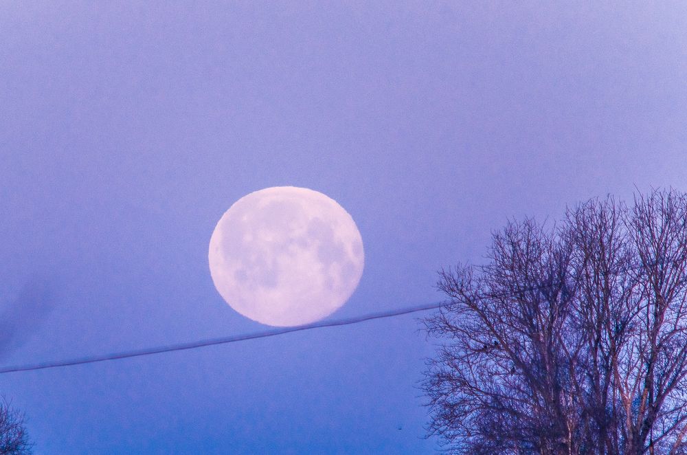 Канатоходец