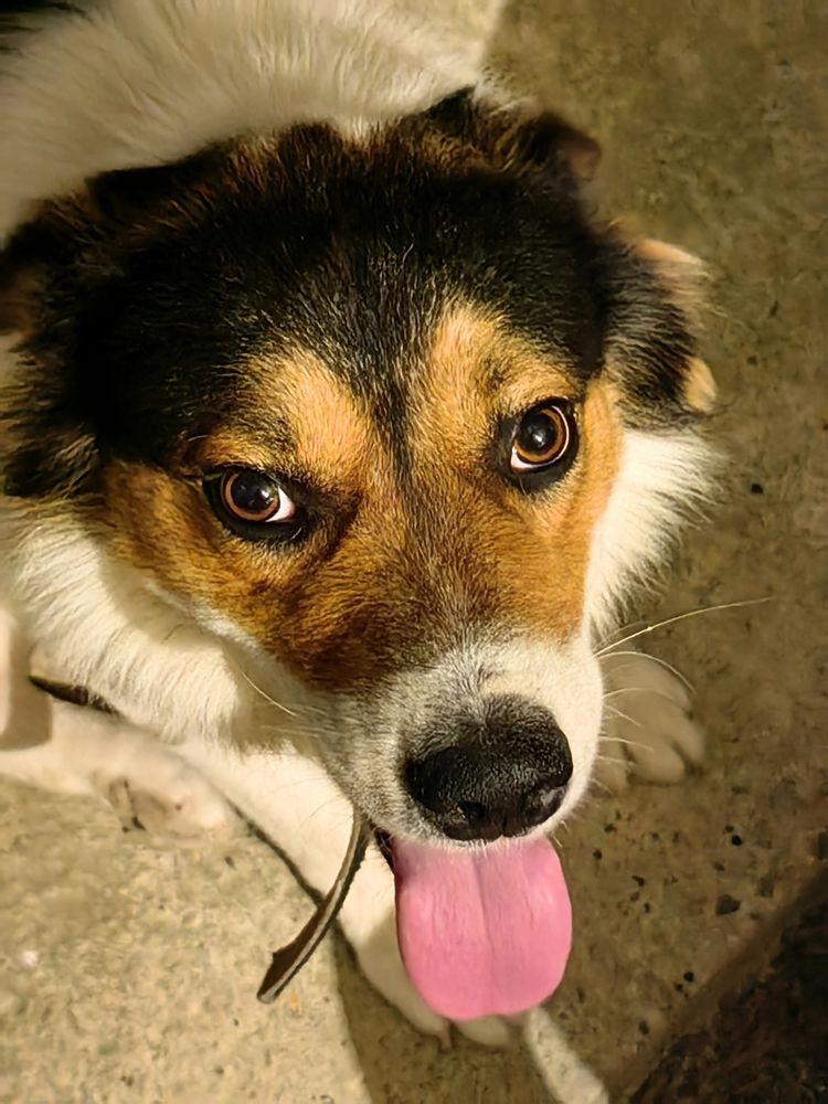 Photograph by Ирина Тихая