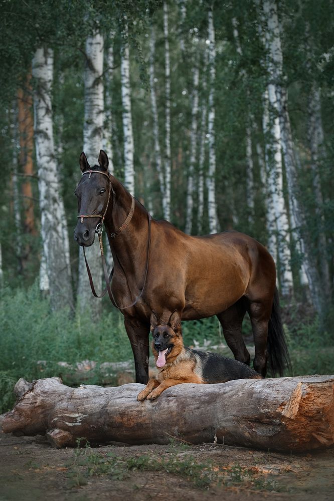 Photograph by Ольга Легенькая