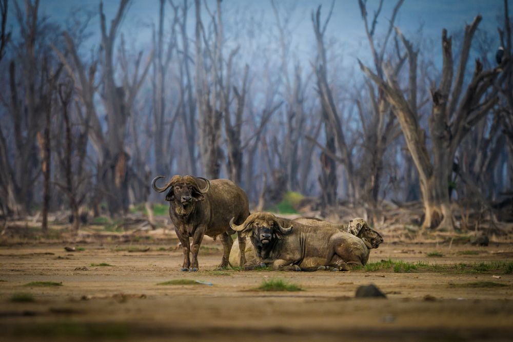 Photograph by Gimantha Perera