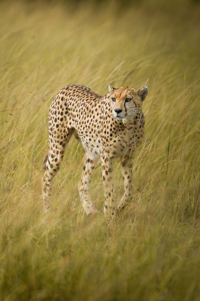 Photograph by Gimantha Perera