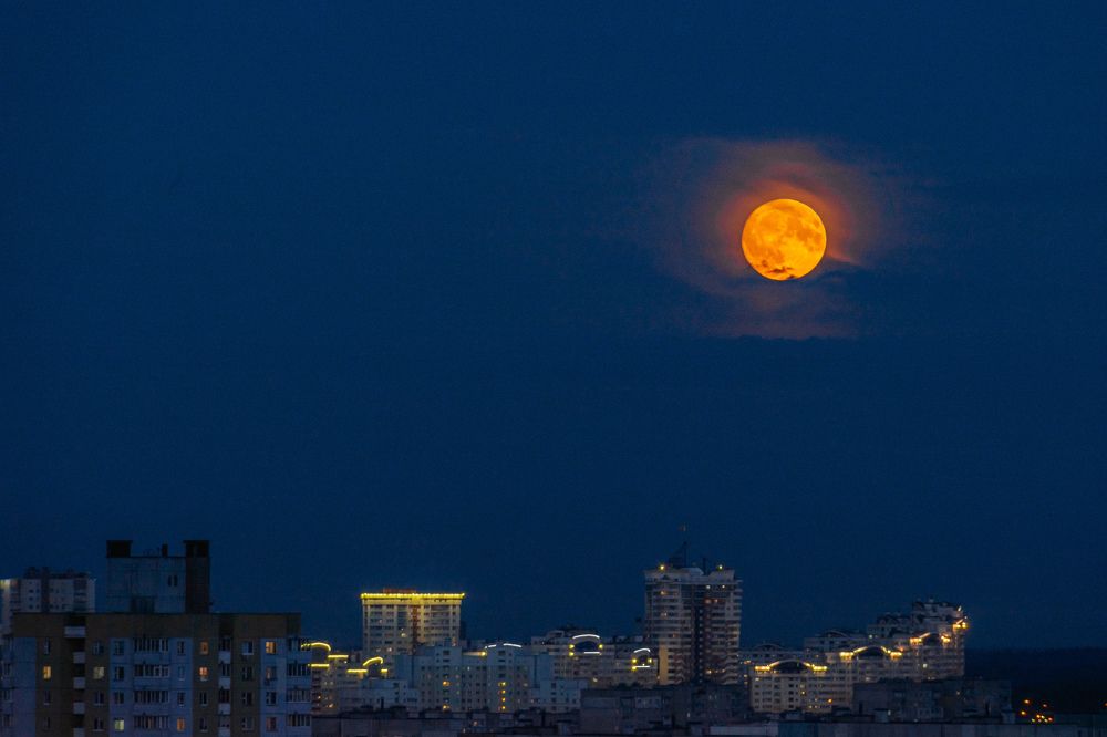 Photograph by Наталья