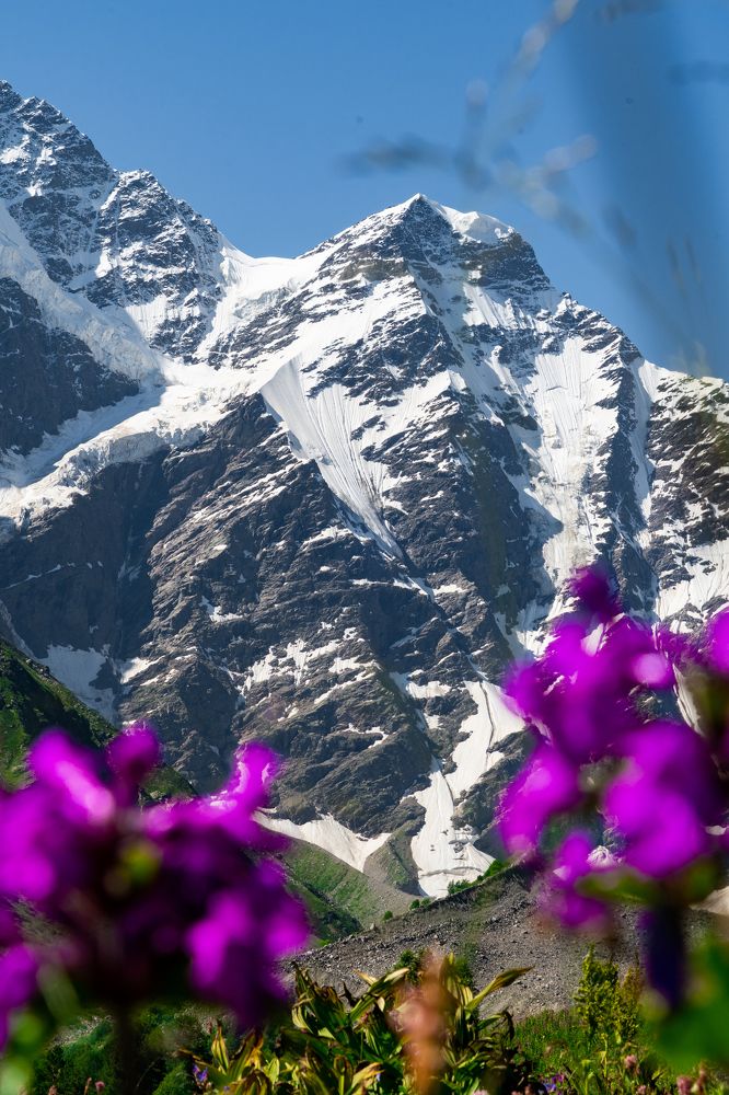 Photograph by Дмитрий Mo0fe