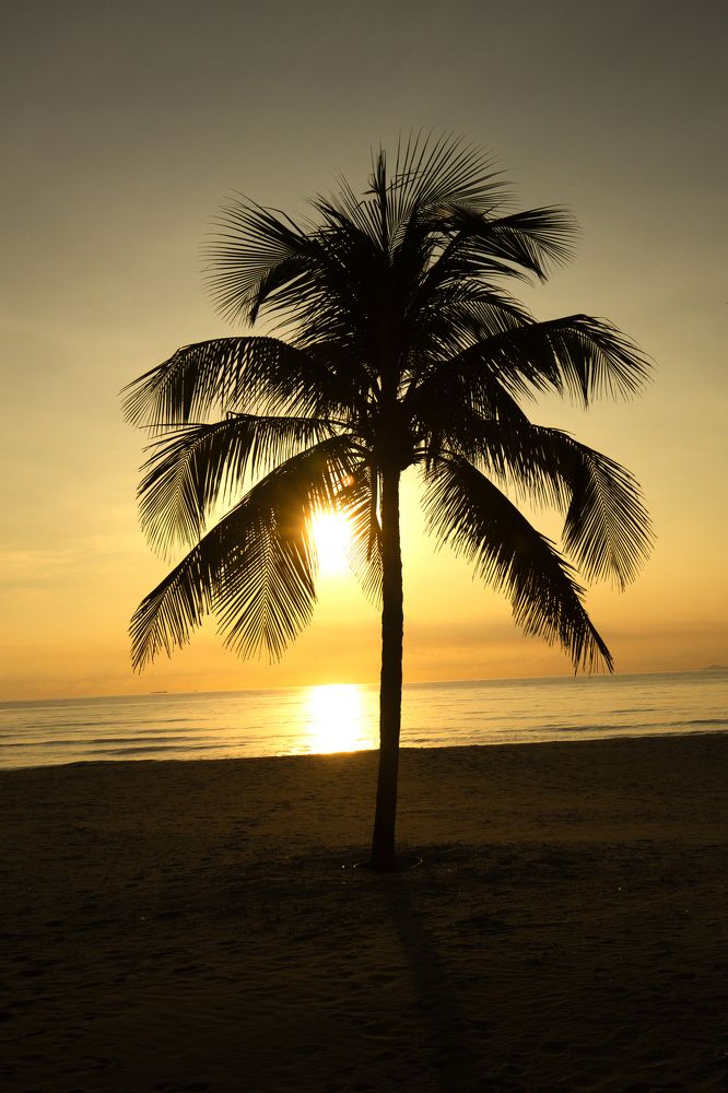 Photograph by Do Duc