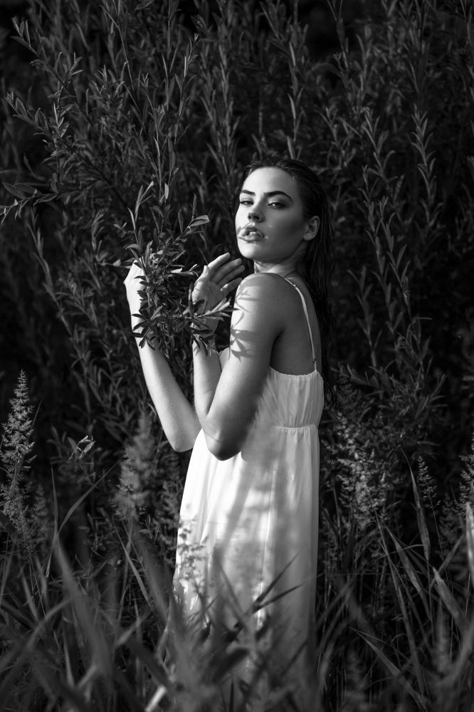 Photograph by Nason Gradushiy