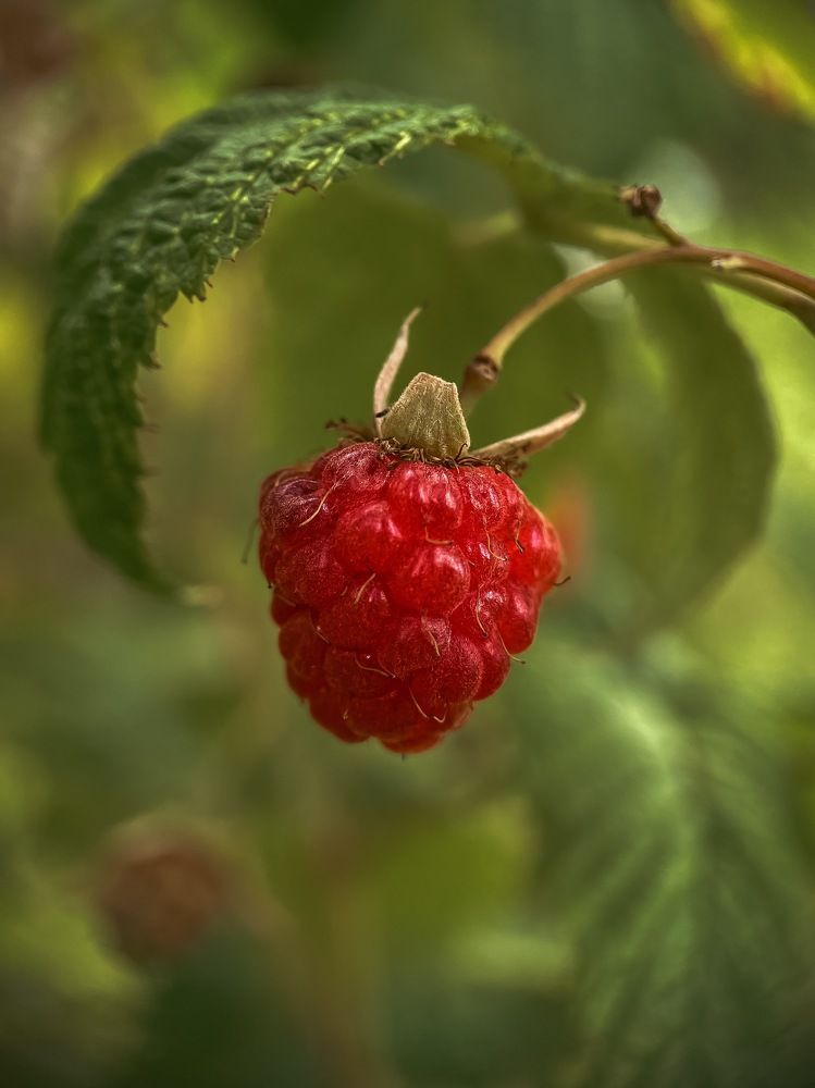 Photograph by Ольга Дорошенко