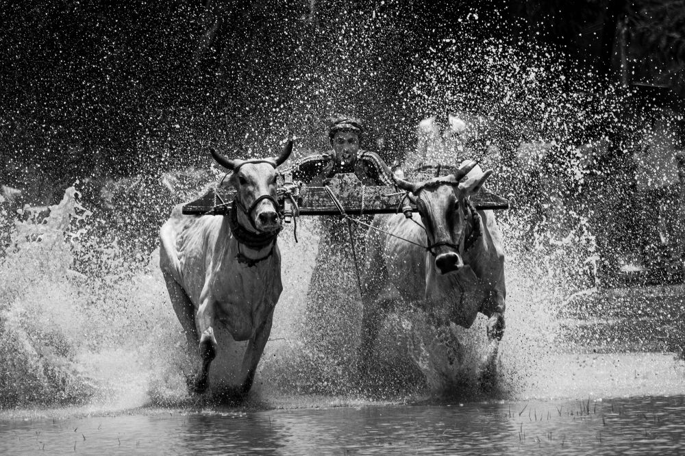 Indian rural festival